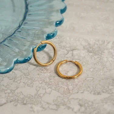 18K Gold PVD Stainless Steel Circle Huggie Hoop Earrings