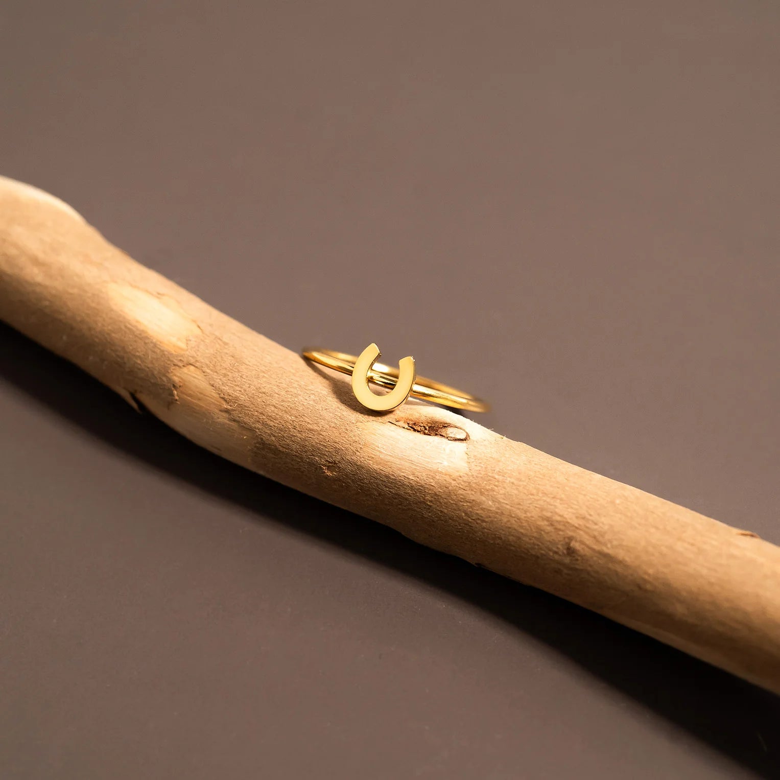 18K Gold PVD Stainless Steel Horseshoe Symbol Ring