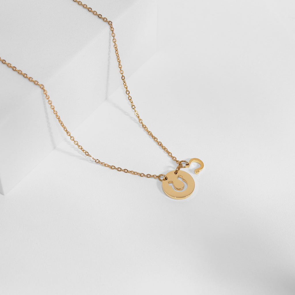 18K Gold PVD Stainless Steel Horseshoe Cutout Necklace
